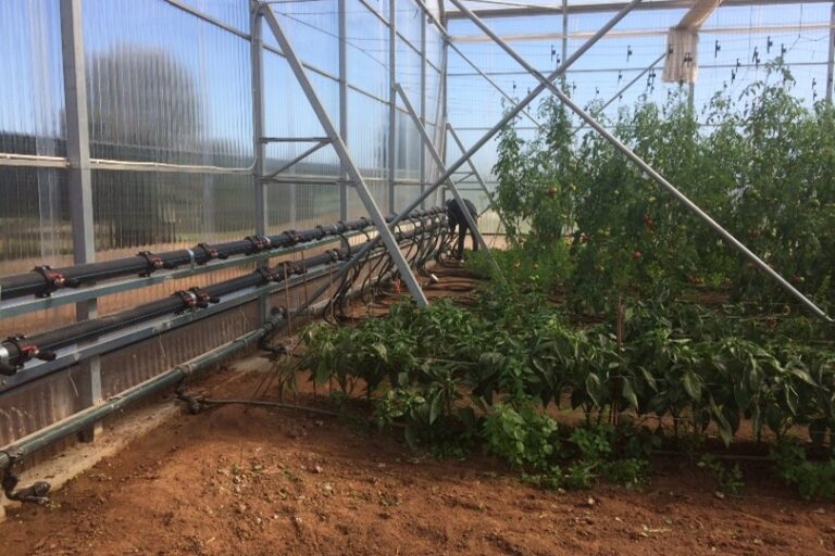 ΕΡΓΟ-ΘΕΡΜΟΚΗΠΙΟ-DEDIETRICH3