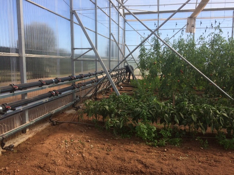 ΕΡΓΟ-ΘΕΡΜΟΚΗΠΙΟ-DEDIETRICH3 ΕΡΓΟ-ΘΕΡΜΟΚΗΠΙΟ-DEDIETRICH3